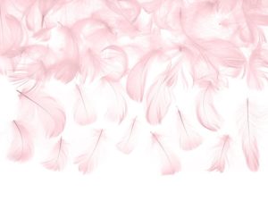 Höyhenet - Vaaleanpunaiset