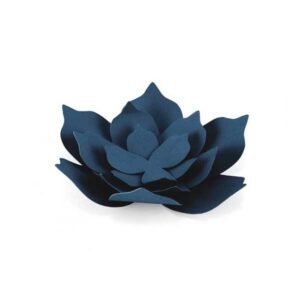 Paperikoriste kukka, sininen